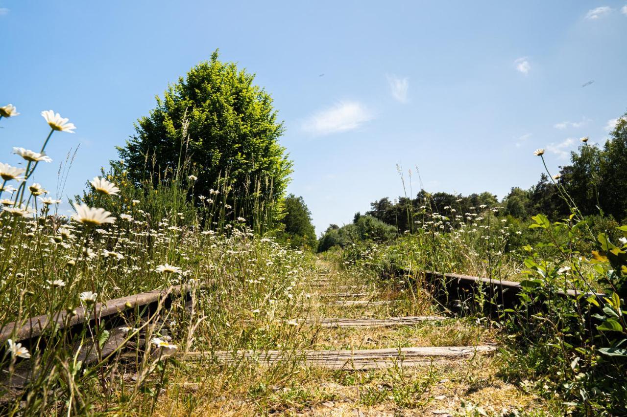Hofparken Wiltershaar 호텔 빈터스빅 외부 사진